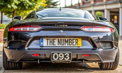 1000+ Unique Custom License Plate Ideas to Stand Out